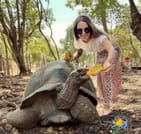 Zanzibar Prison Island Giant Big Tortoise Tour 1