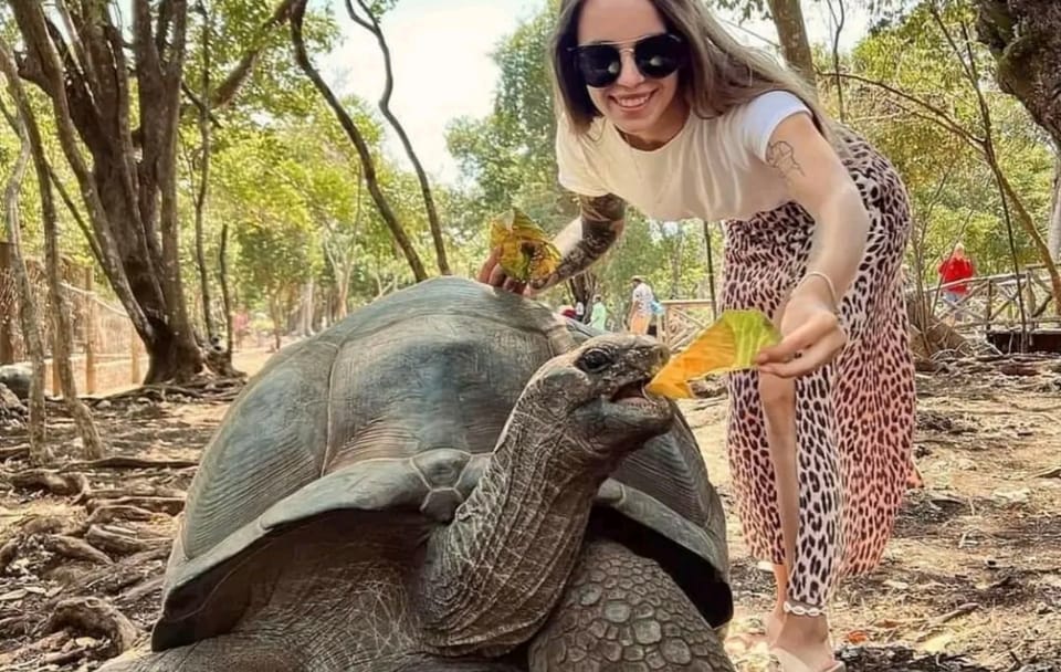 Giant Tortoise and History Tour on Prison Island, Zanzibar