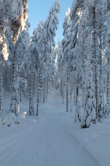 First Time on Skis photo 2
