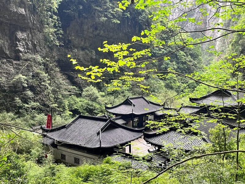 Wulong Private Tour All Inclusive: Premium Vehicle & local Lunch