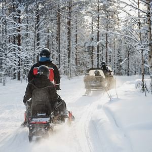 1-Hour Snowmobile Safari