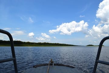 Amazon Jungle Trek and Anavilhanas Archipelago Tour in Manaus
