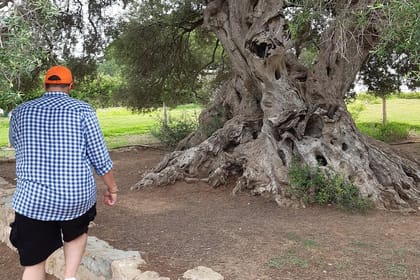 Daytrip to Kerkouen Unesco Site Kelibia and Houaria Caves