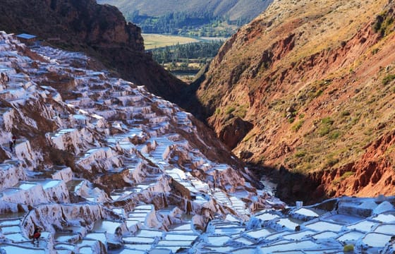 Peruvian Gastro Tour