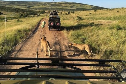 2 Days Masai Mara Private Safari in 4WD Jeep