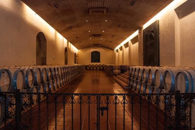 Small-Group Half Day Tour to Concha y Toro Winery 8