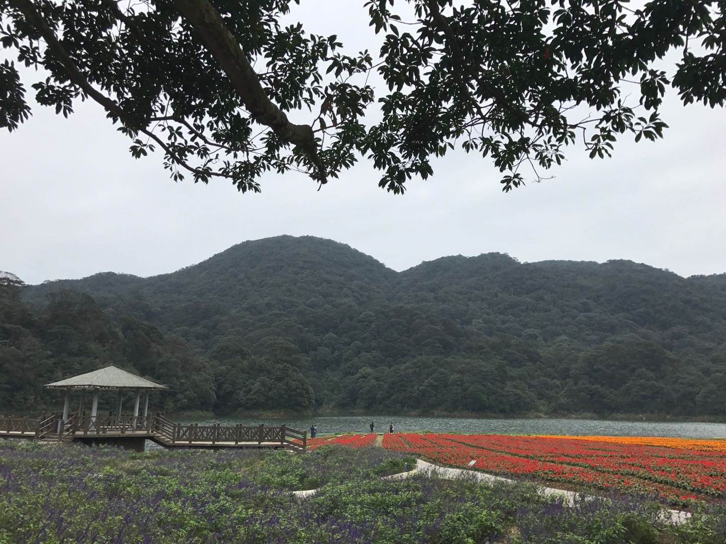 Shimen National Park and Biquan Air Hot Spring Day Trip from Guangzhou