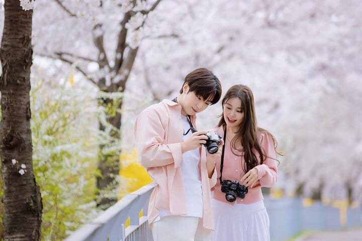 Cherry blossom festival at Yeowuido