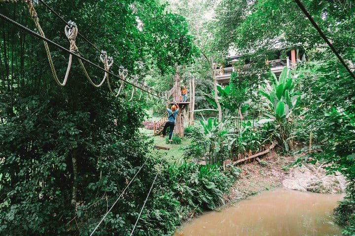 Phoenix Zipline Adventure Park – Chiang Mai Thrills 10