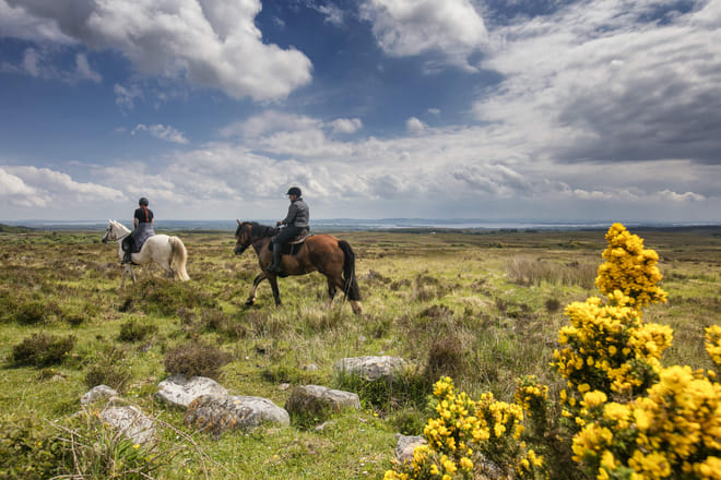 Horse riding the mountain trail. Clare. Guided, 2 hours 5