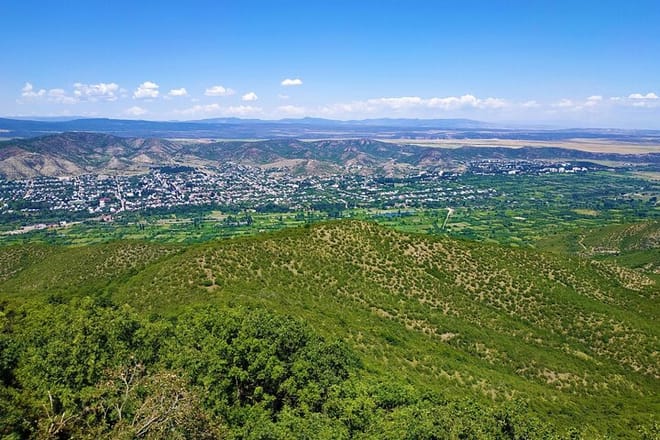 Private Tour to Dmanisi & Bolnisi from Tbilisi with Museums, Oldest Church & Lunch