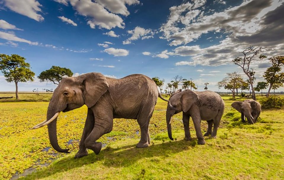 5-Day Camping Safari: Hell's Gate, Lake Naivasha & Masai Mara