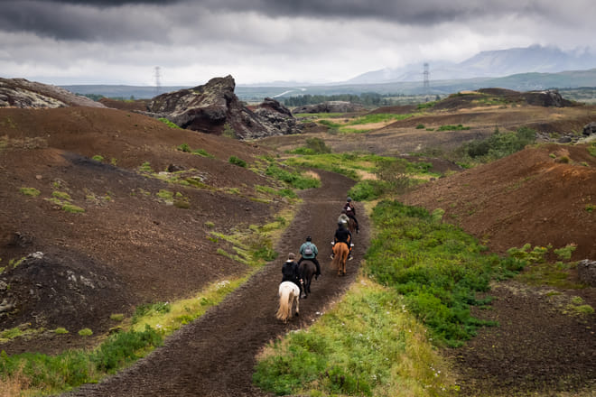 Red Lava Horse Riding Tour - Reykjavik