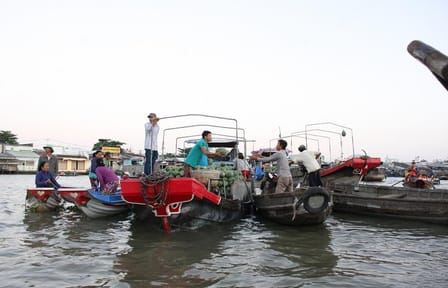 Cai Rang Floating Market and Mekong Delta Day Trip from Ho Chi Minh City