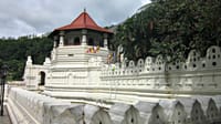 Make your honeymoon memorable with this romantic honeymoon package to Sri Lanka. 6