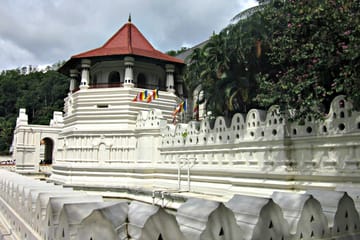 5-Day Romantic Adventure Tour of Sri Lanka for Honeymooners