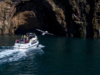 Vestmannaeyjar Boat Tour, photo 6