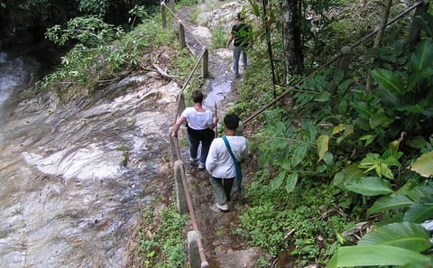 Cultural Tour and Cooking Class in Mae Kham Pong, Chiang Mai