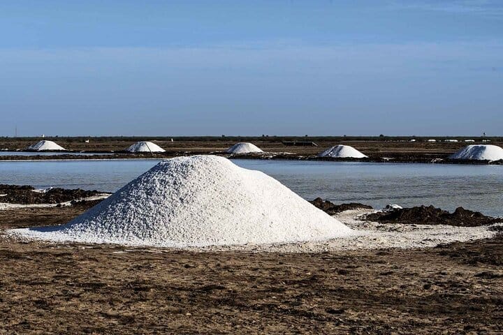 Ahmedabad, Little Rann Of Kutch & Rajkot Tour