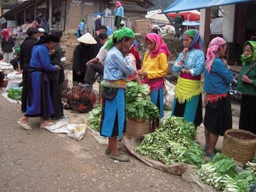 Ha Giang Loop 4 Days 3 Night Enjoy the tour with Private car