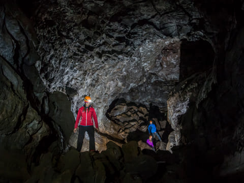 Whale Watching & Caving, photo 4