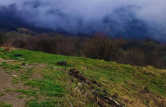 Kakheti Tour: 3 Days of Wine & Culture