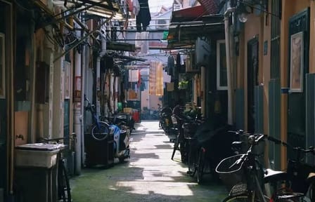 Bike Tour and Food Tasting in Shanghai Old Town