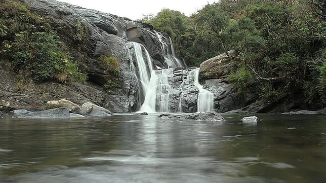 Hortan Plains & Nuwara Eliya Tour (German & English) 6