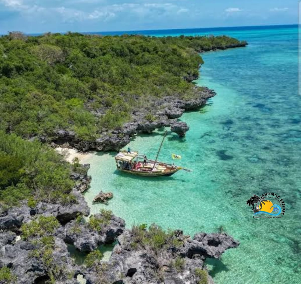 Zanzibar Prison Island Giant Big Tortoise Tour