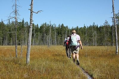 Finnish border hiking tour