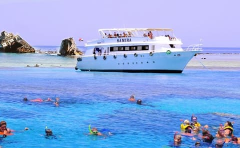 Snorkeling Day Trip to Tiran Island from Sharm El Sheikh