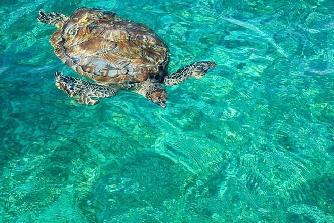 El secreto de Caleta Tankah, el arrecife de Tulum y la cala escondida