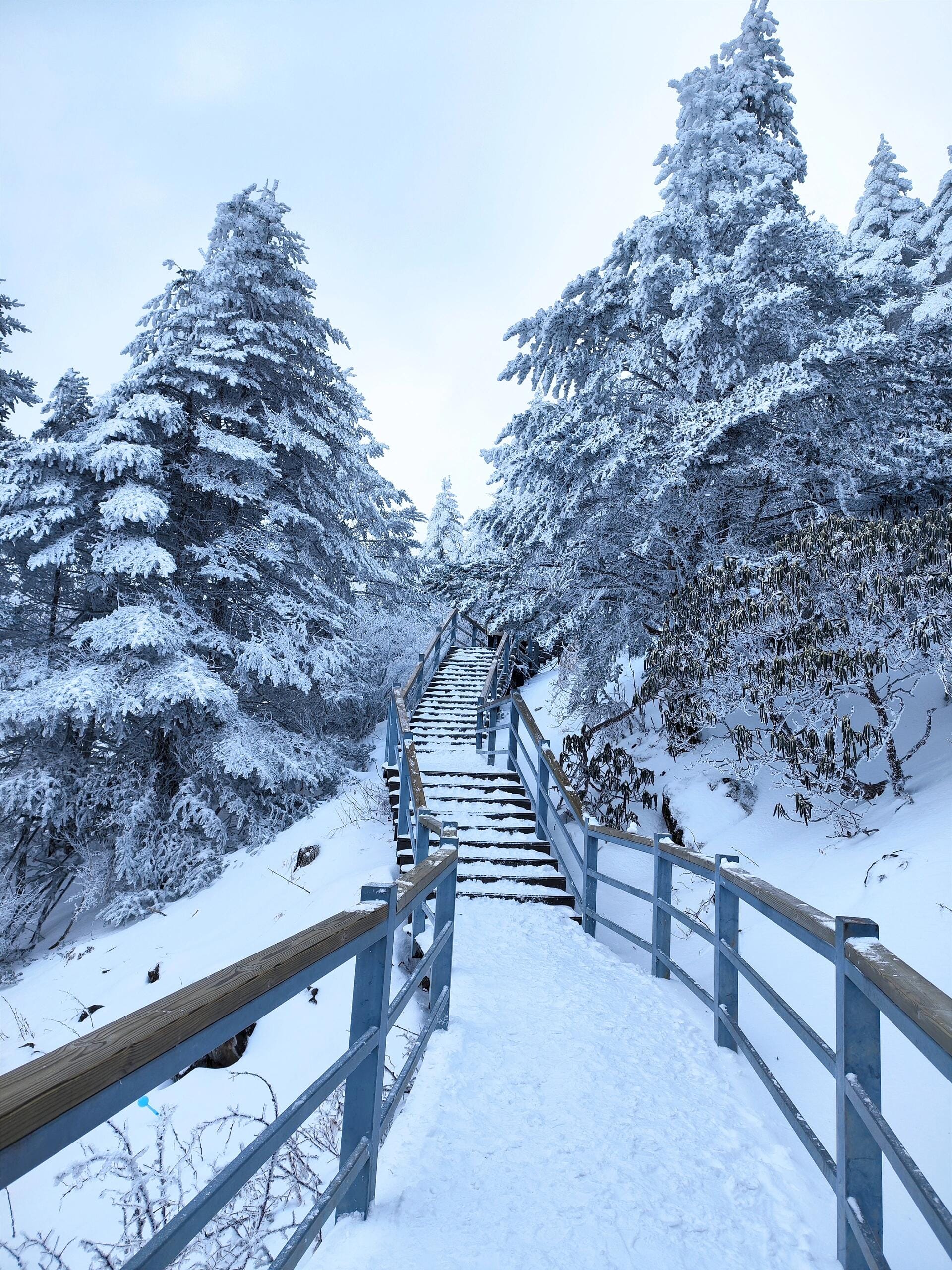 Hike the boardwalk and snow scene