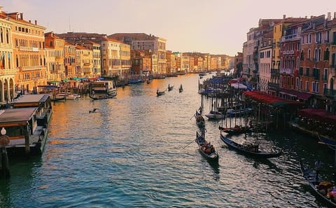 Private Guided Walking Tour of Venice's History and Culture