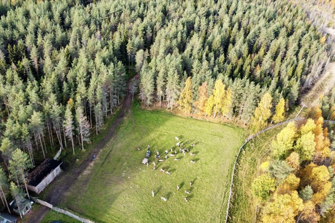 One of the most traditional reindeer farms in Lapland
