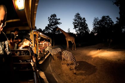 Chiang Mai Day or Night Safari Park