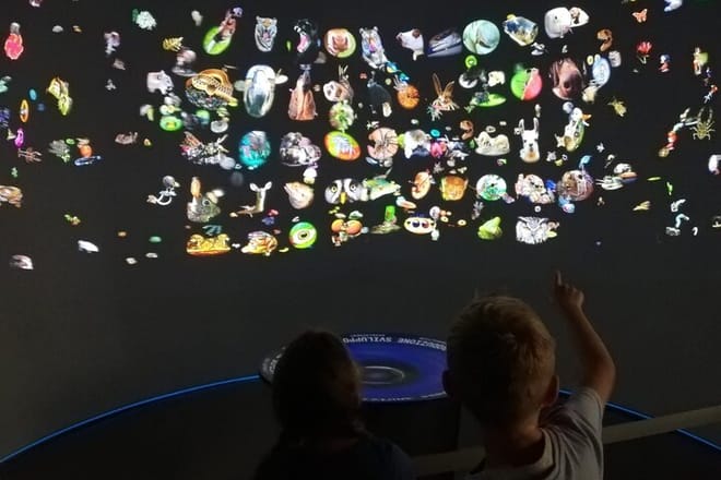 Venice Natural History Museum: Private Tour 7