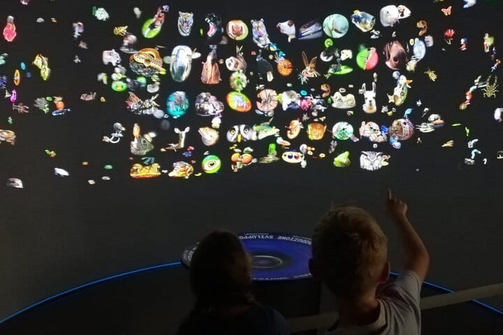 Venice Natural History Museum: Private Tour 7