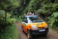 Full-Day Small Group Jeep Safari Tour from Funchal 7