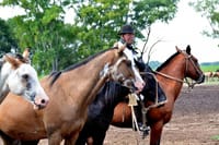Gaucho Day Trip from Buenos Aires: Santa Susana Ranch 1