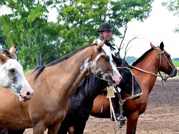 Gaucho Day Trip to Santa Susana Ranch from Buenos Aires