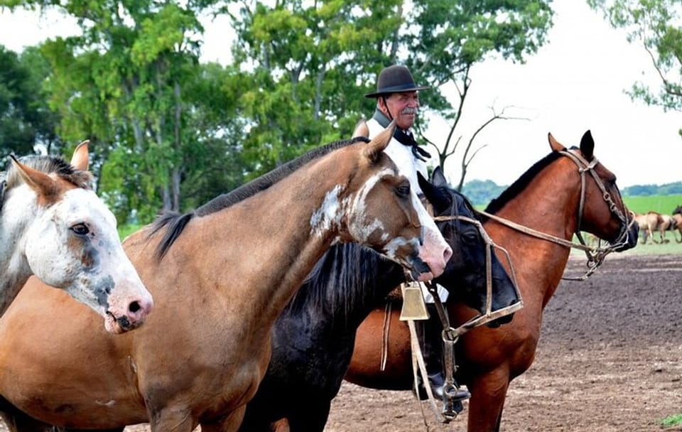 Gaucho Day Trip from Buenos Aires: Santa Susana Ranch