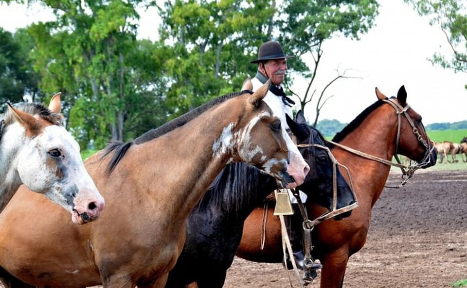 Gaucho Day Trip to Santa Susana Ranch from Buenos Aires