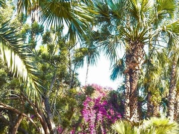 Majorelle Garden Tour with Private Transportation in Marrakech