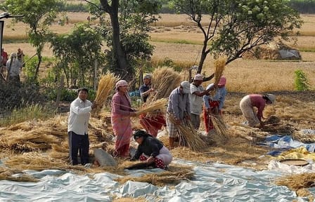 Roam around Newari towns Bungmati, Khokana and explore Patan Durbar Square