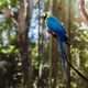 Bird Park