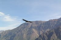 11-Day South of Peru Tour Package 4