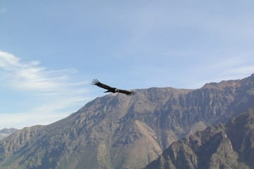 11-Day Cultural Tour of Aguas Calientes, Arequipa, and Cabanaconde