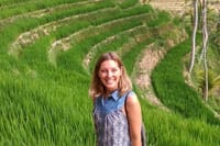 Rice Terraces