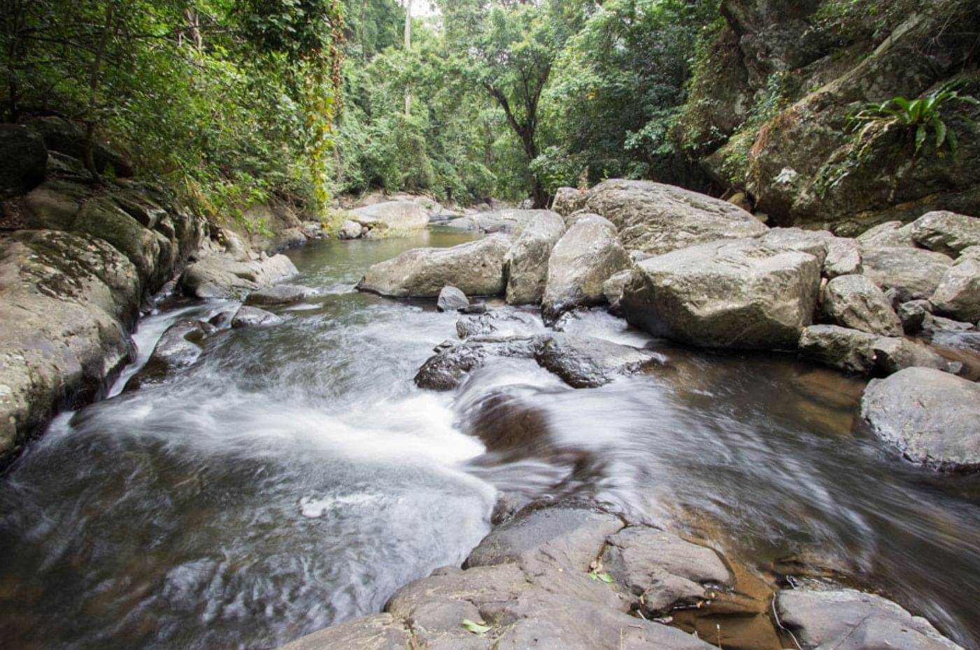 Pala U Waterfall & Kaeng Krachan Jungle Tour with Private Guide